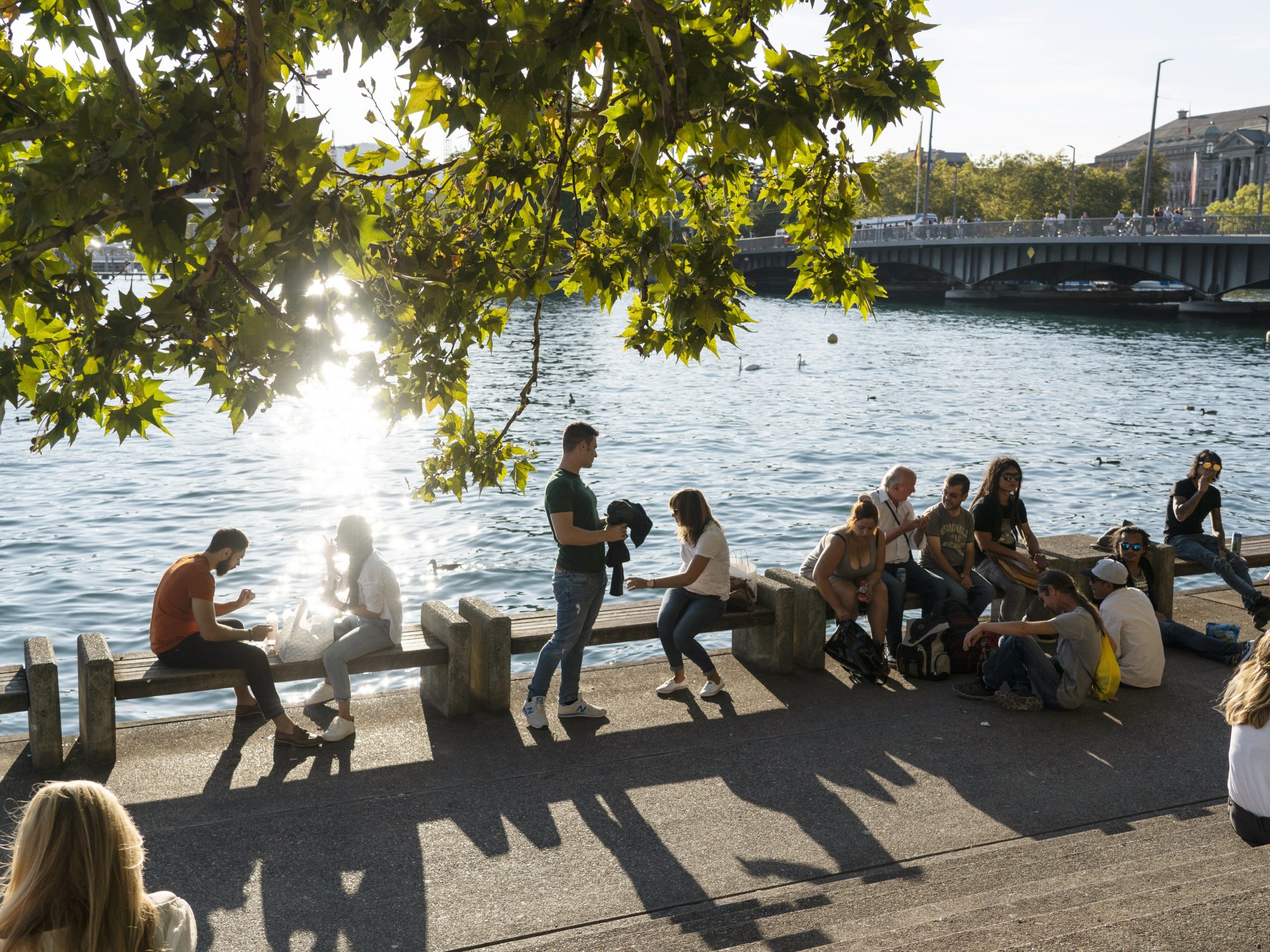 Sommer am See